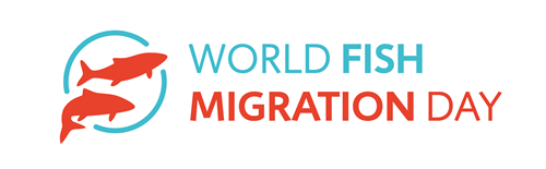 World Migration Day Logo